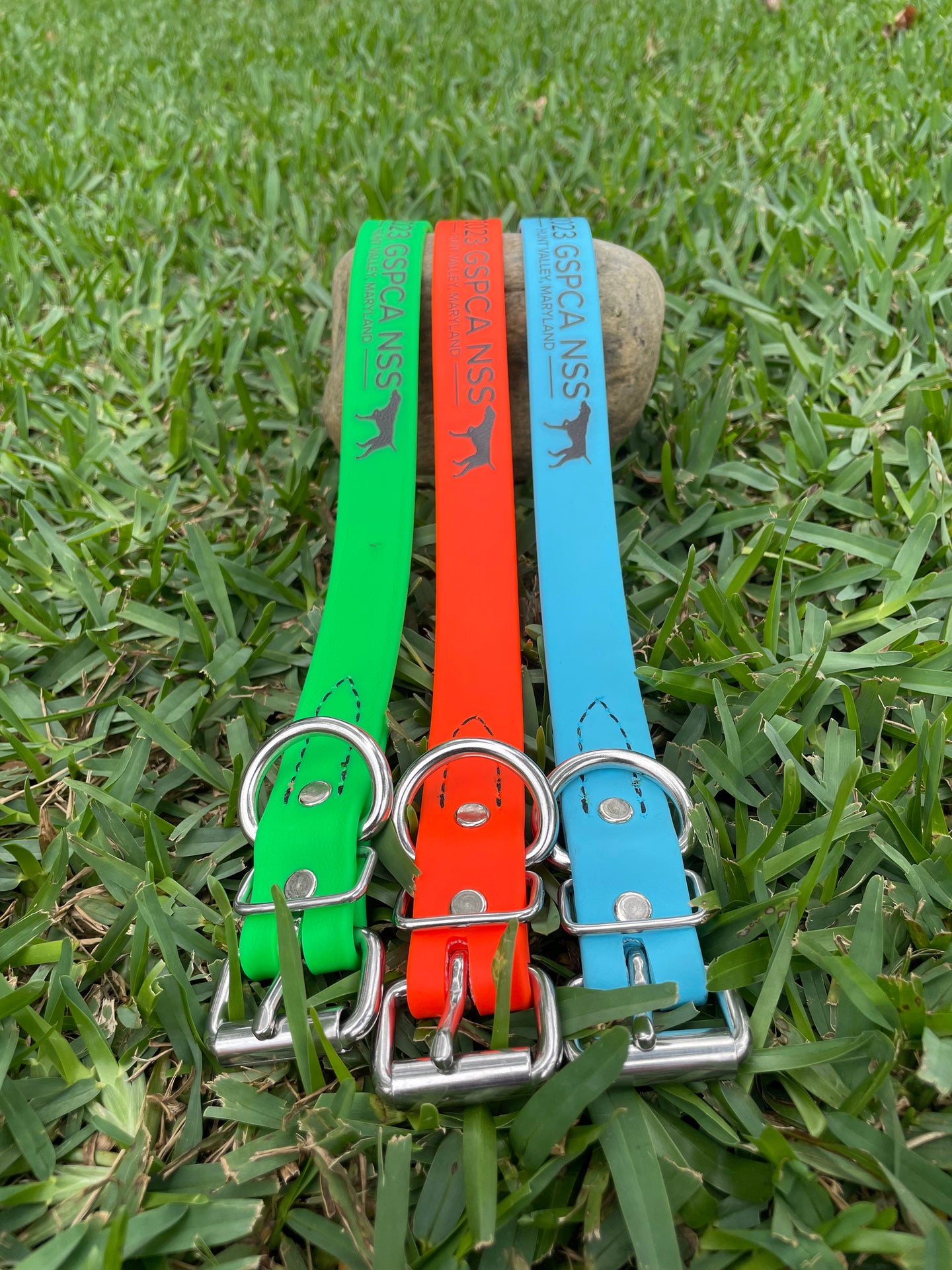 PERSONALIZED - 2024 GSP BioThane Buckle or Quick Release Collar